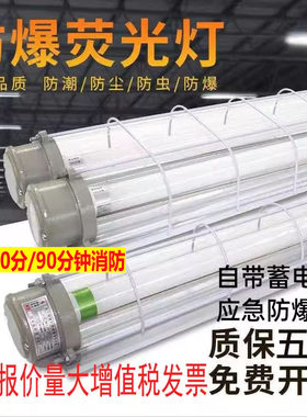 防爆LED应急灯1.2米长条密闭