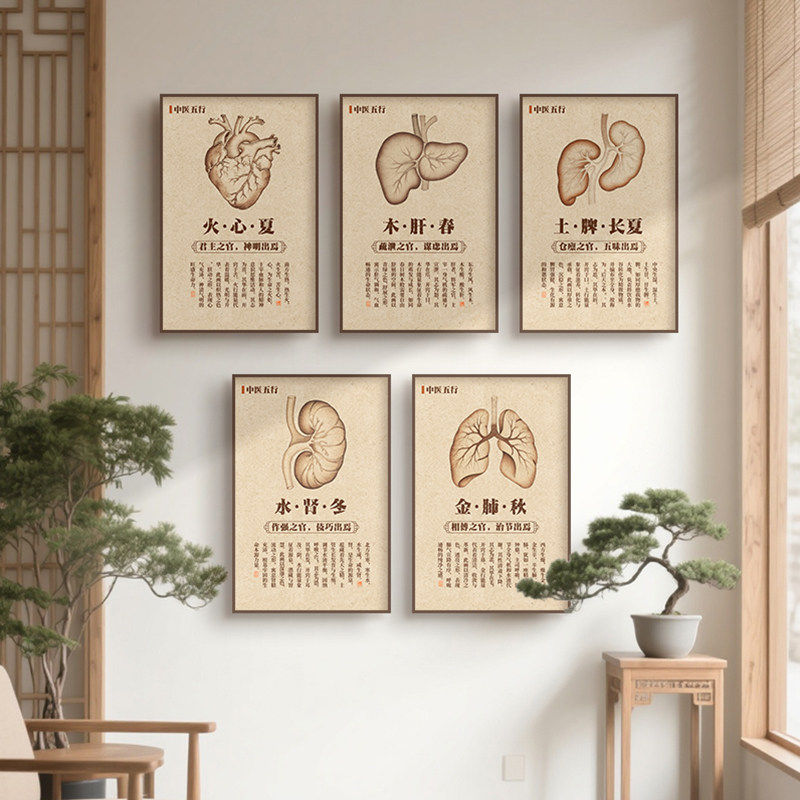 中医馆装饰挂画五行养生图人体五脏四季养生氛围布置中医文化墙
