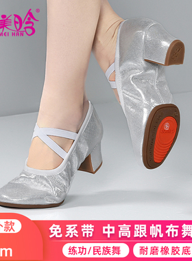 5cm银跟舞鞋室外中国舞蹈鞋女士软底练功鞋成人古典舞跳舞教师鞋