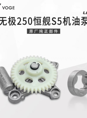 VOGE无极250RR恒舰S5 LX250GS-3隆鑫KE250发动机原装机油泵