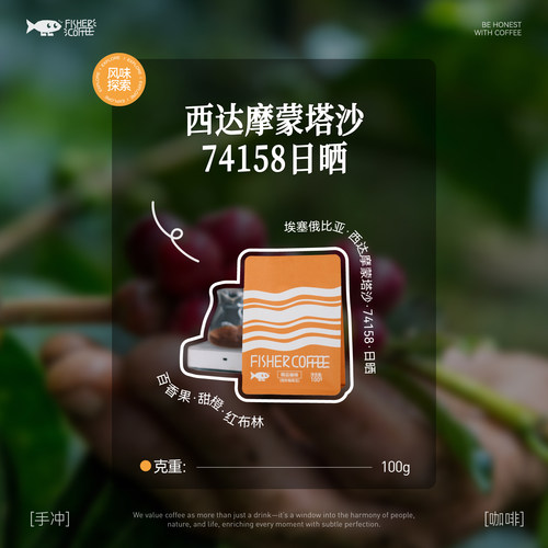 fisher埃塞COE庄园手冲咖啡豆