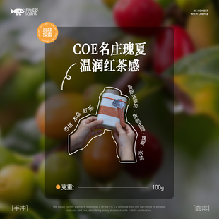 227g 100g Fisher啡舍 哥斯达黎加COE旗帜庄园瑰夏水洗手冲咖啡豆