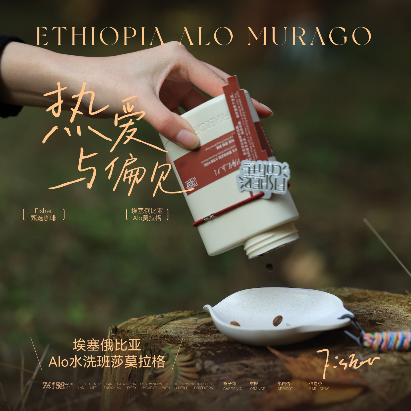 啡舍埃塞Alo莫拉格手冲咖啡豆