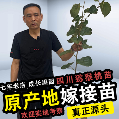 【原产地】猕猴桃树苗