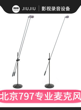 797AUDIO七九七音响CR5110电容会议大合唱领诵话筒立式高端麦克风
