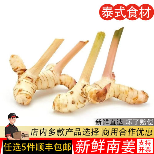 新鲜泰国南姜5份多省顺丰包邮