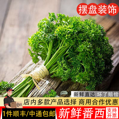 新鲜番西法香芹荷兰欧芹西洋芹