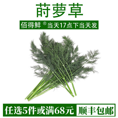 刁草新鲜莳萝草100g食用泰国西餐