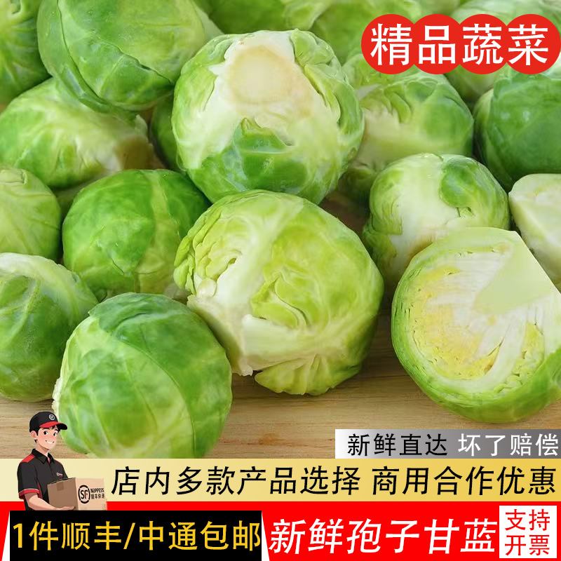 孢子甘蓝新鲜食用西餐沙拉蔬菜
