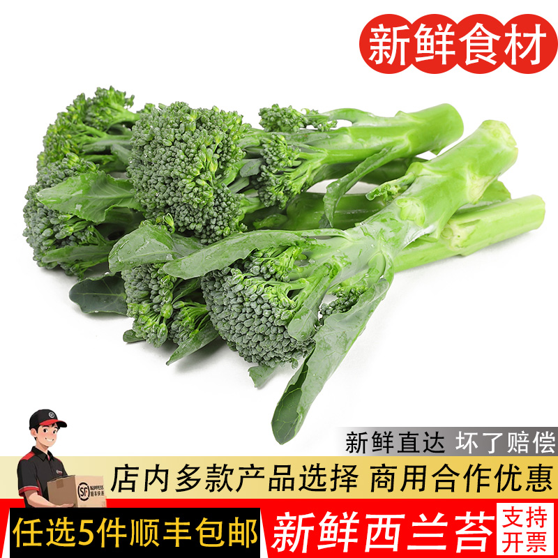 西兰苔新鲜蔬菜手指西兰花兰花苔