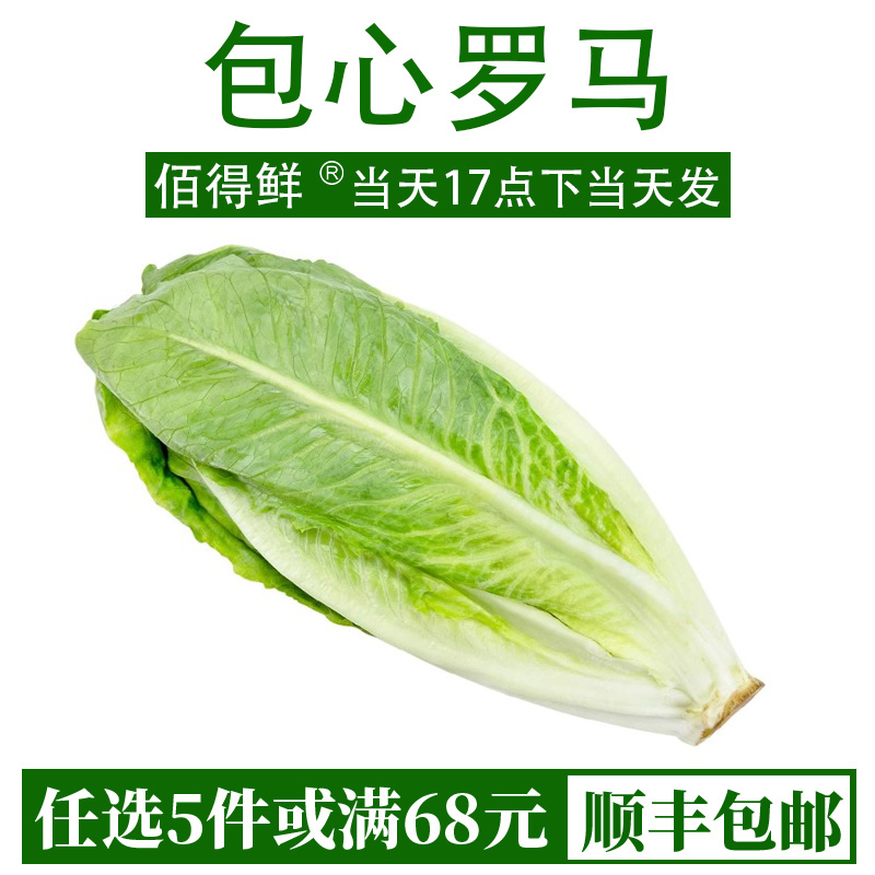 新鲜包罗生菜即食绿色西餐沙拉