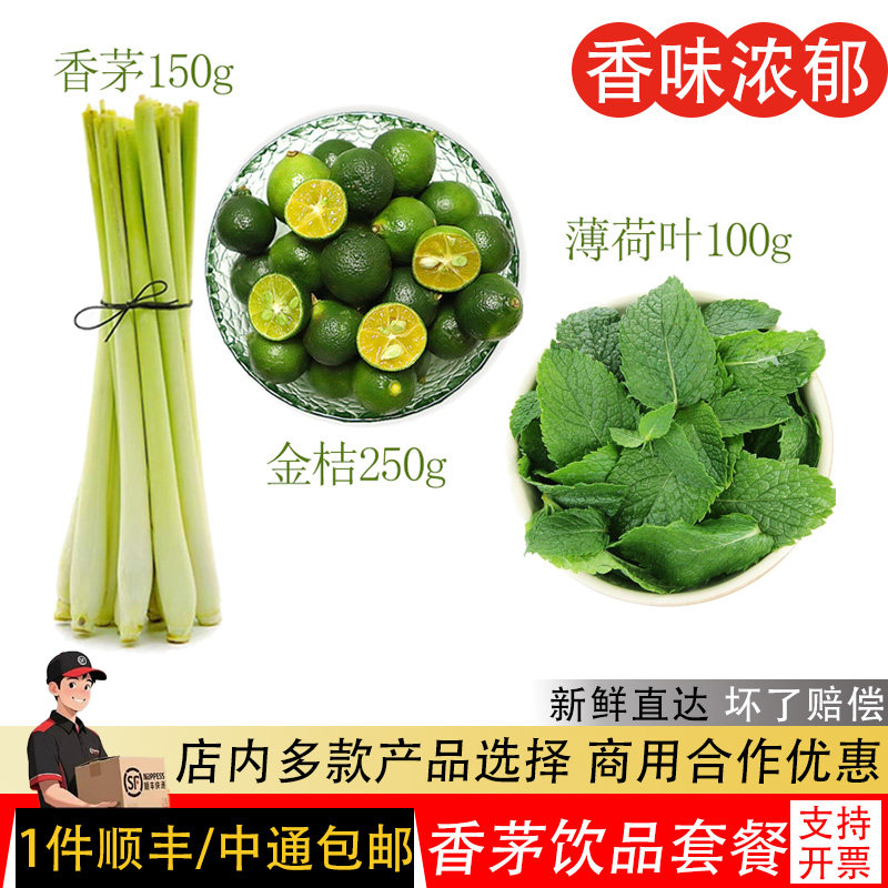 新鲜薄荷叶香茅食用饮品小金桔水果茶套餐调酒装饰500g顺丰包邮