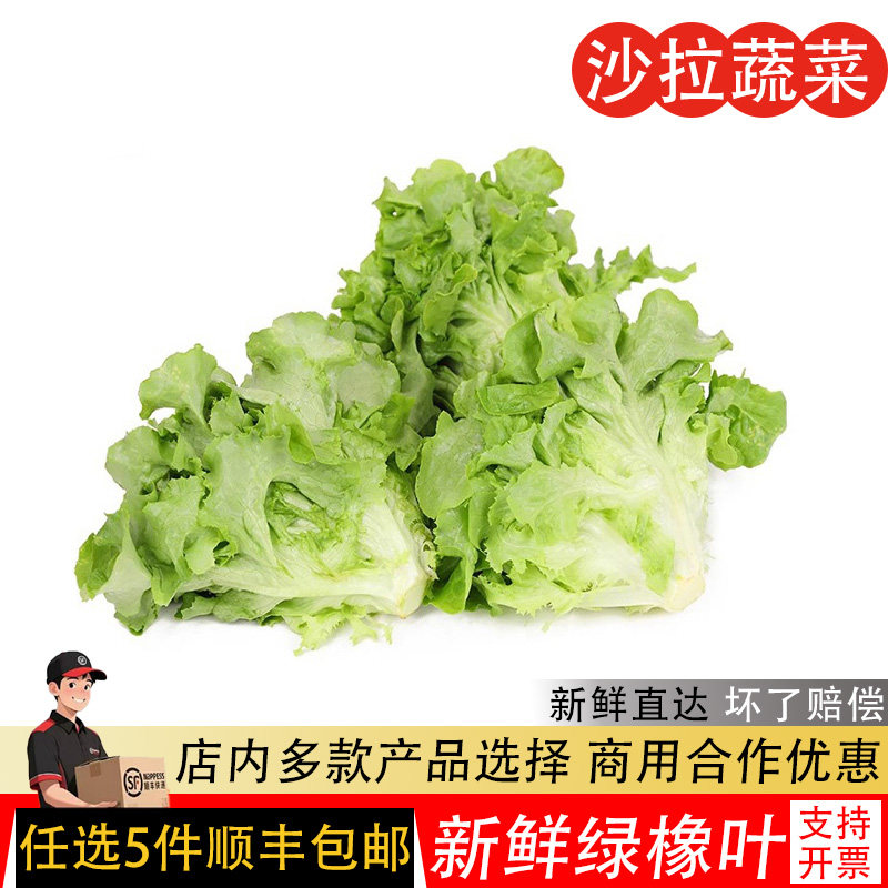 绿橡叶生菜新鲜蔬菜沙拉西餐食材健身轻食生吃色拉沙拉蔬菜500g,水产肉类/新鲜蔬果/熟食,其它,淘宝优惠券,粉丝福利购,淘宝优惠卷