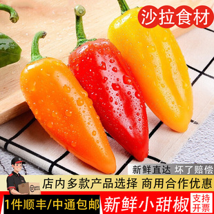 甜椒新鲜蔬菜水果椒迷你小辣椒红黄橙彩椒小彩椒沙拉西餐食材包邮