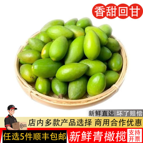香甜青橄榄新鲜果现摘酥脆生吃