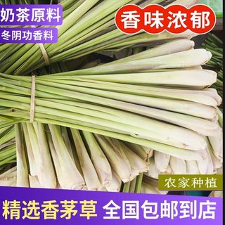 香茅草新鲜柠檬草叶香茅香料菜奶茶店用品调料泰国冬阴功汤料原料