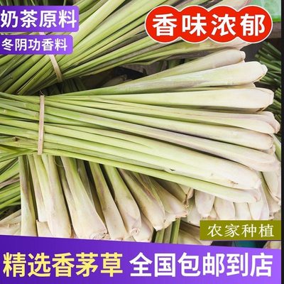 新鲜香茅草水果茶食用香料