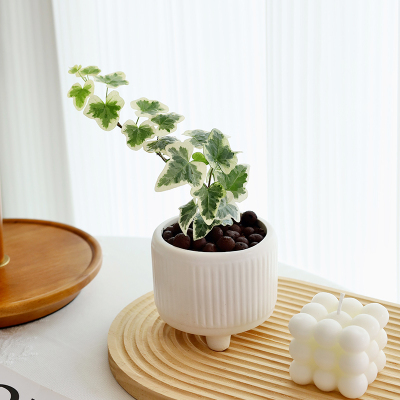 雪莹常春藤盆栽植物办公室内客厅桌面茶几好养护四季观叶绿植解压