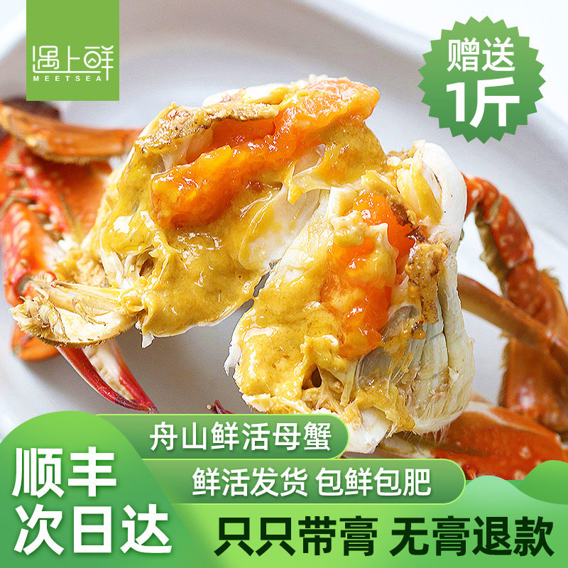 [活发/红膏蟹]舟山梭子蟹活鲜次日达到家新鲜螃蟹母蟹保鲜不保活