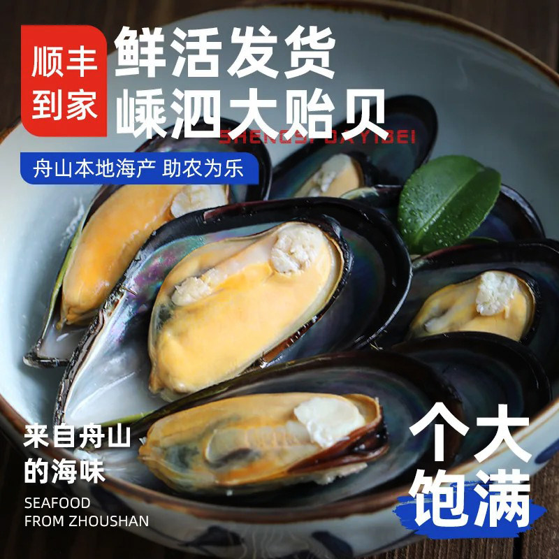 [顺丰]舟山特产嵊泗青口贝鲜活特大海虹鲜活淡菜新鲜贻贝鲜活海鲜