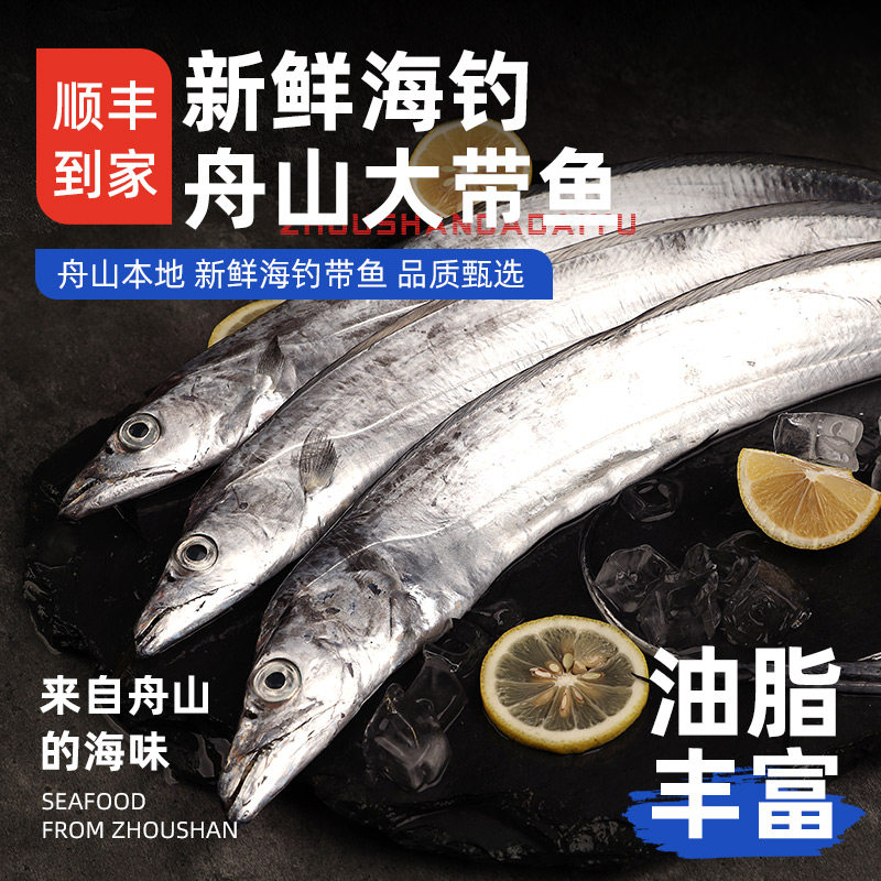【海钓带鱼】正宗舟山带鱼小眼带鱼新鲜冷冻大舟山带鱼官方旗舰店