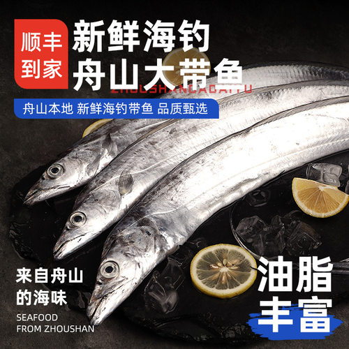 【海钓带鱼】舟山小眼睛大带鱼