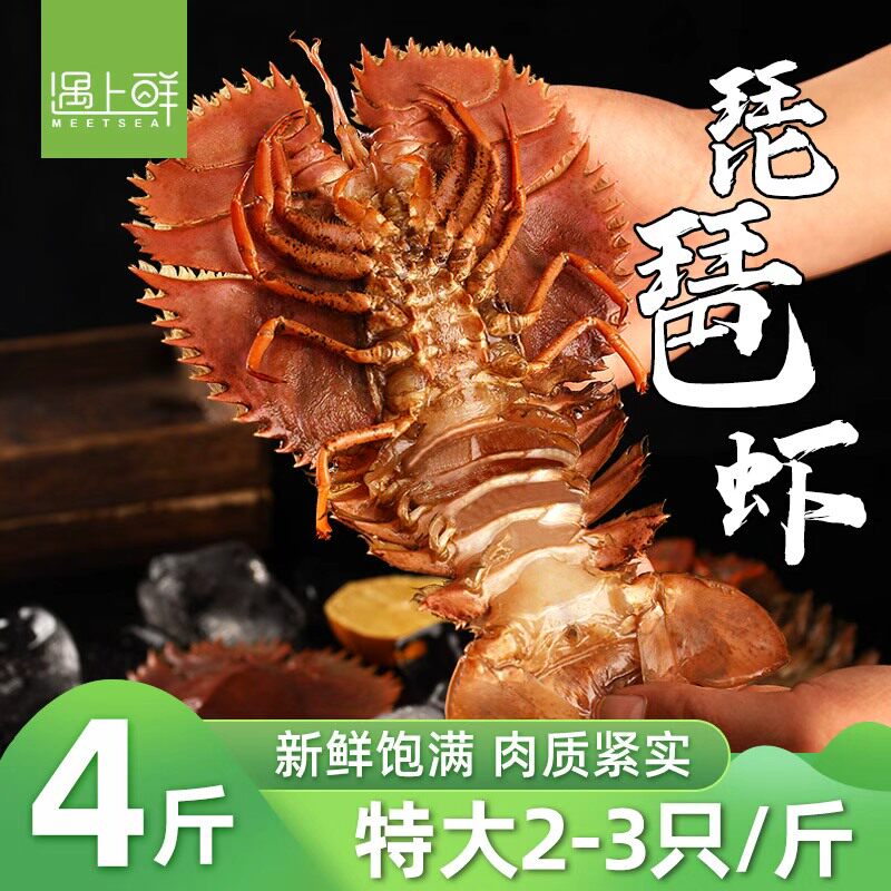 【当季新品】舟山大琵琶虾鲜活速冻特大九齿扇虾海鲜琶琵虾枇杷虾