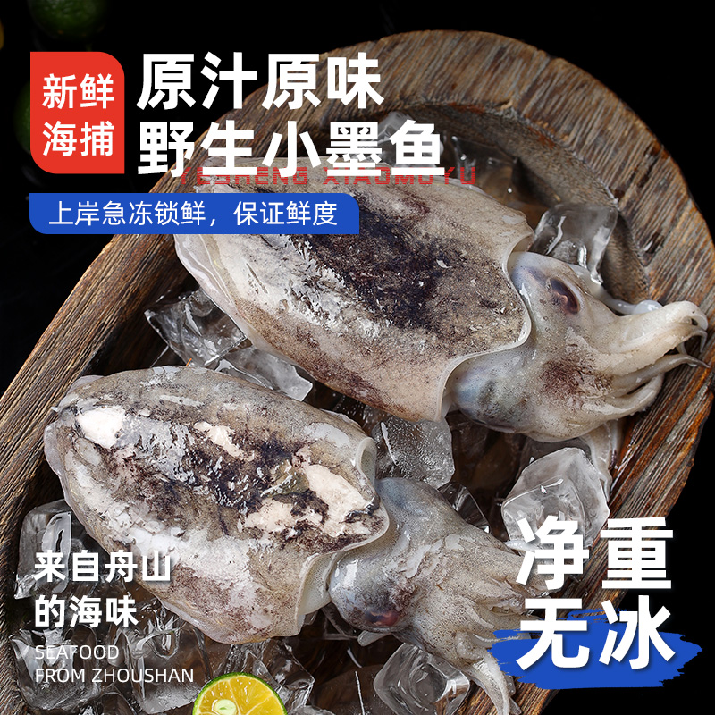 【舟山小墨鱼】当季海捕/新鲜！
