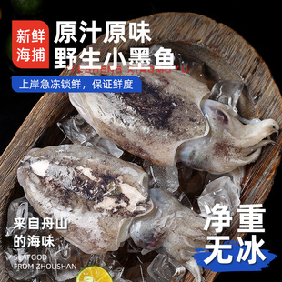 遇上鲜舟山野生小墨鱼仔鲜活新鲜生鲜冷冻东海目鱼仔乌贼鲜活海鲜
