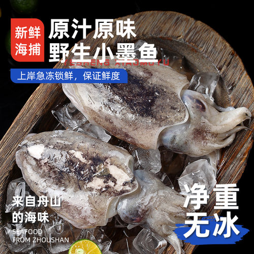 【舟山小墨鱼】当季海捕/新鲜！
