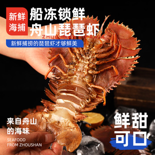 【当季新品】舟山大琵琶虾鲜活特大速冻九齿扇虾海鲜琶琵虾枇杷虾