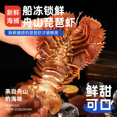 【顺丰到家】琵琶虾鲜活特大速冻