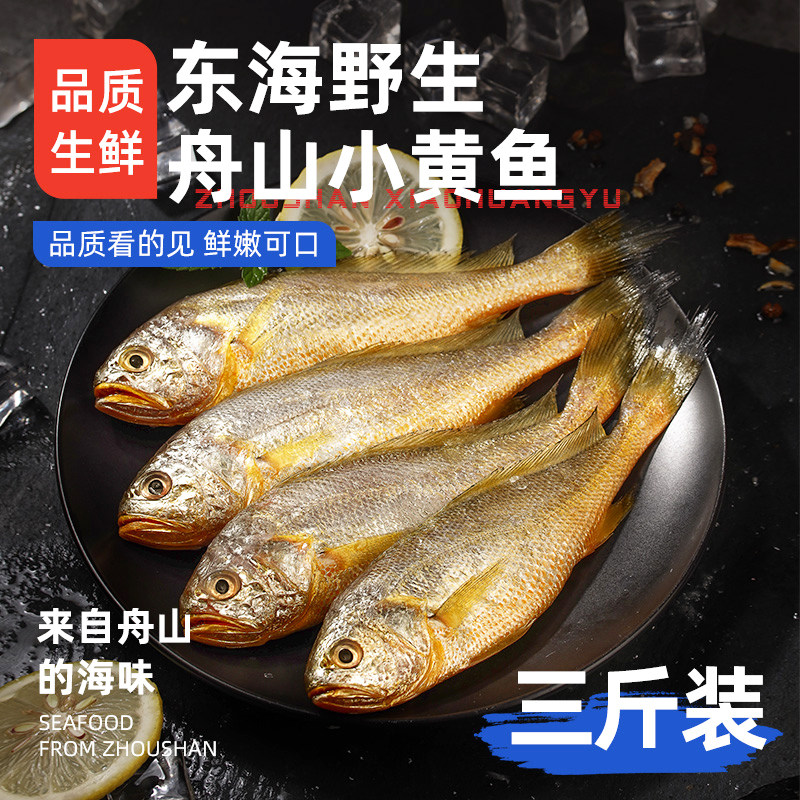 舟山野生小黄鱼/新鲜冷冻