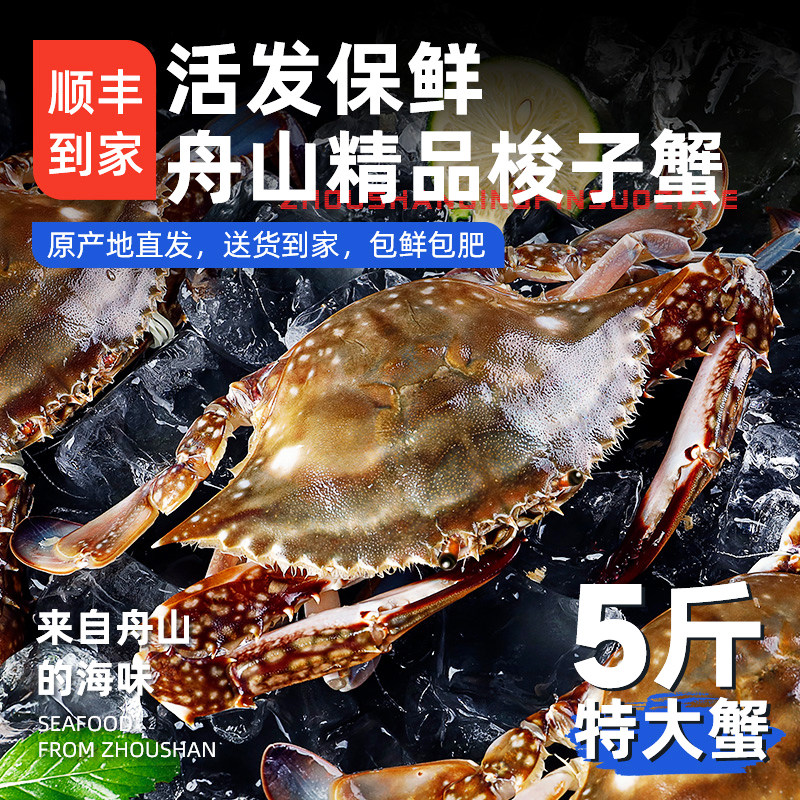 [预售]活发舟山梭子蟹活鲜次日达到家新鲜螃蟹海蟹公蟹保鲜不保活