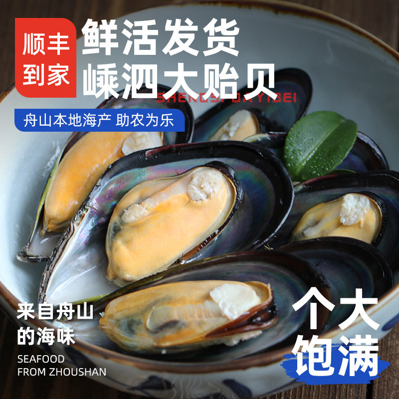 【顺丰到家】嵊泗大号海虹鲜活特大新鲜海鲜水产淡菜贻贝青口贝