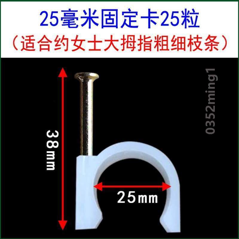 爬墙枝条牵引墙面月季室外钢钉固定器植物藤卡扣夹爬固定*蔷薇花