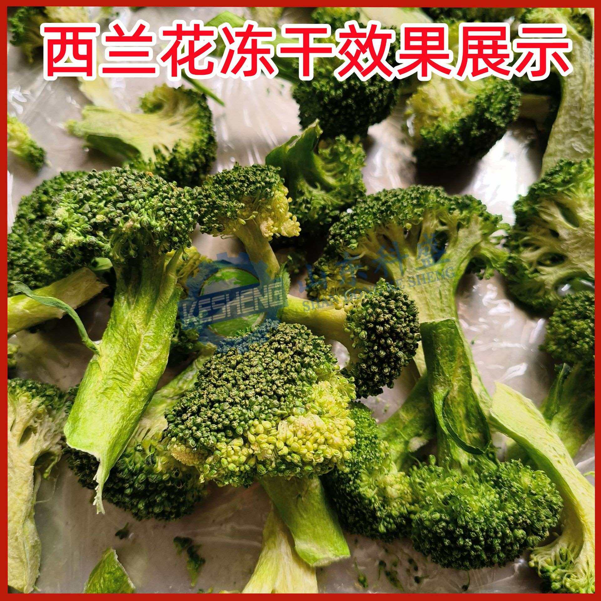 西红柿胡萝卜冻干片 山药脆真空冻干设备 西兰花豆腐真空冻干机