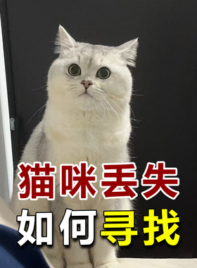 南昌找猫团队 南昌寻猫团队 南昌找猫找狗团队 南昌本地找猫团队