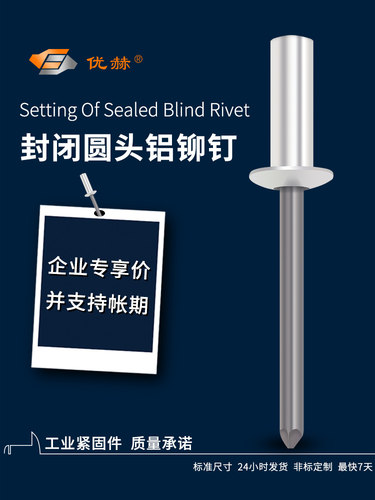 封闭型铆钉GB12615铝圆头防水型拉铆钉闭口拉钉封闭型抽芯铆钉