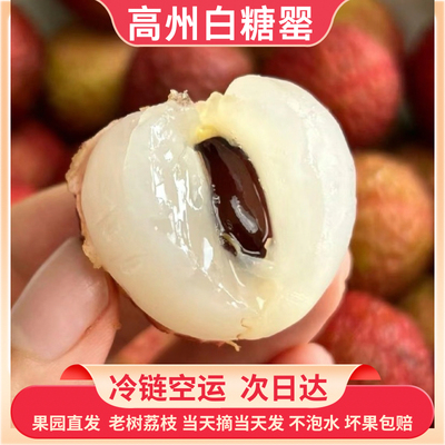 广东高州白糖荔枝5斤整箱