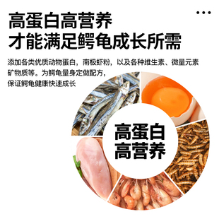 极速北美小鳄龟大鳄龟肉干鳄龟饲料龟粮爆刺粮食纯杂W佛鳄鱼龟乌