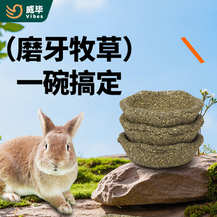 仓鼠兔子磨牙牧草碗荷兰猪造景啃咬食盆小宠磨牙解闷造型零食神器
