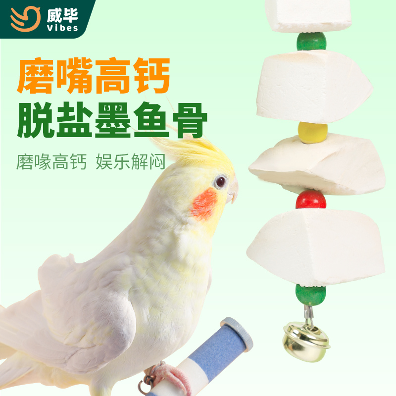 精选大块【脱盐】墨鱼骨鹦鹉高钙