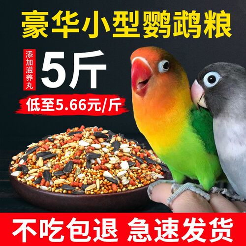 威毕鹦鹉混合精养饲料