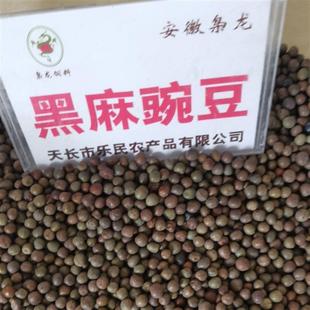 枭龙鸽粮甘肃黑色中麻豌豆高蛋白高能量赛鸽江浙沪皖包邮25公斤