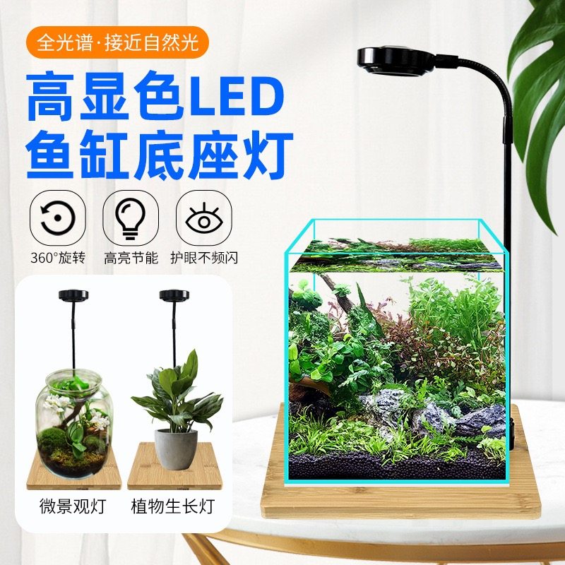 雨林缸生态瓶竹板水草灯