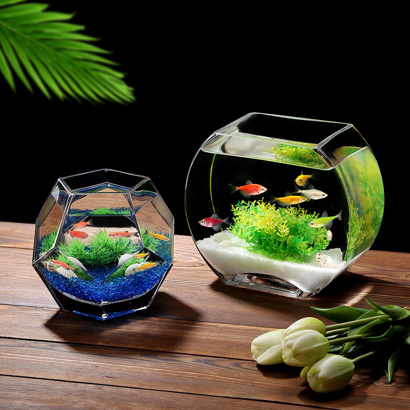 创意多面体个性斗鱼玻璃缸桌面玻璃鱼缸热带鱼缸小型加厚超白鱼缸,宠物/宠物食品及用品,桌面缸,淘宝优惠券,粉丝福利购,淘宝优惠卷