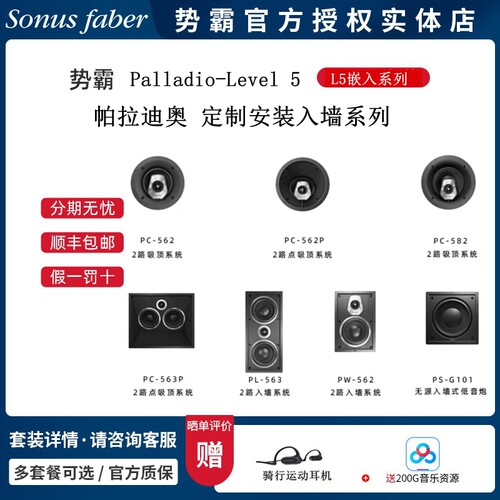 势霸帕拉迪奥L5定制系列