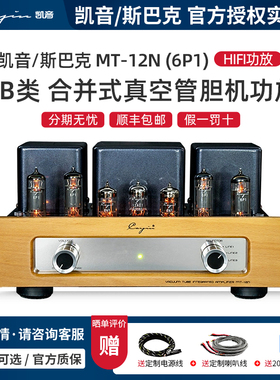 Cayin/凯音/斯巴克 MT-12N 合并式真空管胆机功放AB类HIFI电子管