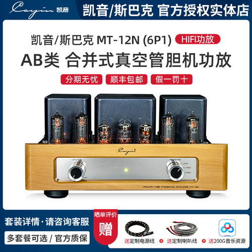 Cayin合并式真空管胆机功放AB类